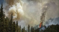 Largest New Mexico Wildfire Traced to Planned Burns, According to US Review