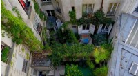White Roofs and Rooftop Lawns Effectively Reduce Urban Heat Island Impact, Experts Report