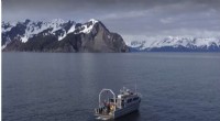 First Underwater Drone Measures CO2 Levels in Alaska Gulf, Advancing Climate Research
