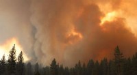 New Predictive Tool Lets Scientists Forecast Western U.S. Wildfire Seasons