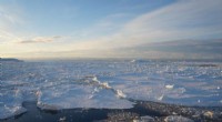 New Study Highlights Urgent Climate Impact on Antarctica, Urging Immediate Action