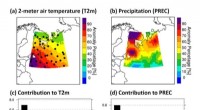 Anthropogenic Factors Drive Warm, Wet Winters in Northwest Russia