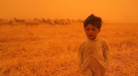 Iraq s Sandstorm Halts Flights, Forces Over 1,000 to Hospitals