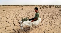Lake Hamrin Reservoir Nearing Collapse, Threatening Iraq s Agriculture