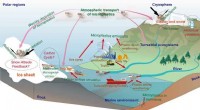 Microplastics Threaten Remote Cryospheric Regions: Environmental Impact and Urgent Action Needed