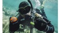 Lake Tahoe Divers Unearth Hidden Treasures While Cleaning Up 72‑mile Shoreline