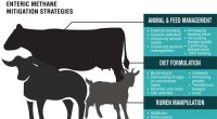 Fully Implementing Current Mitigation Tactics Could Achieve 2030 Livestock Methane Reduction Goals