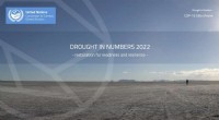 UN Report Warns Droughts Escalated 29% in a Generation, Calls for Urgent Global Action