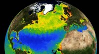 Global Warming Shifts Timing of Ocean Phytoplankton Blooms