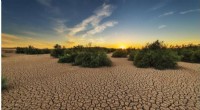 Urgent Action Needed to Combat Worsening Droughts and Expanding Drylands