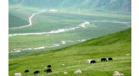 Advanced Climate Model Technique Predicts Greater Precipitation Rise on the Tibetan Plateau