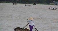Scientists Chart a Blueprint to Preserve the Mekong Delta