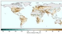 80% of Global Croplands Will Face Worsening Water Scarcity by 2050, Study Finds