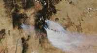 New Mexico and Arizona Grapple with Unprecedented Early Fire Season