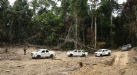 Study Finds Brazil Responds to Under 3% of Deforestation Alerts