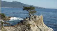 California Bill Would Require Blue Carbon Mitigation for Coastal Development