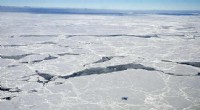 Antarctic Sea Ice Expands Despite Global Warming: New Study Reveals Unexpected Trends