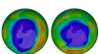NASA Reveals Ozone Recovery: Reduced Smog, Revitalized Wildlife