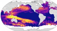 Updated Global Marine Heatwave Forecasts Warn of Ecological and Economic Impacts