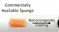 New Sponge Technology Cleans Oil, Microplastics, and Phosphates from Water—A Breakthrough in Pollution Mitigation