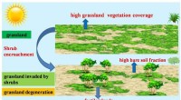 Shrub Encroachment and Rising Land Surface Temperatures in Temperate Semi‑Arid Northern Hemisphere Ecosystems