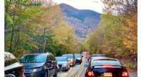 Study Reveals COVID-19 Exacerbates Strain on National Forests