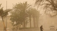 Iraq Faces Dust Storm Crisis: Dozens Hospitalized for Respiratory Issues