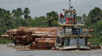 Brazilian Amazon Sets New First-Quarter Deforestation Record
