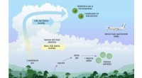 Amazon Rainforest Gases Shape Earth s Atmosphere