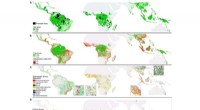 Crowdsourced Study Reveals Key Drivers Behind Tropical Forest Loss