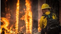 California Communities Face Budget Crunch After Devastating Wildfires