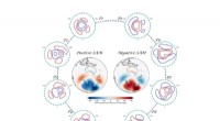 New Study Reveals Asymmetry in Southern Hemisphere Mid‑High Latitude Pressure Anomalies