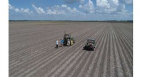Advanced Estimation Method Boosts Accuracy of Soil Carbon Sampling in Agriculture