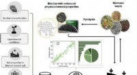 Machine Learning Optimizes Biochar Efficacy for Heavy Metal Soil Remediation