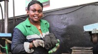 Kenyan Inventor Converts Plastic Waste into Eco-Friendly, Cost-Effective Bricks