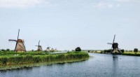 Urgent Conservation: Rapid Decline of Dutch Biodiversity Threatens the Environment