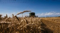 EU Green Farming Plan Hobbled by Ukraine War