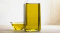 New Global Study Highlights Urgent Need for Sustainable Vegetable Oil Production