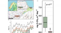 Lower Methane Emissions When Permafrost Thaws – Findings from Northern Sweden