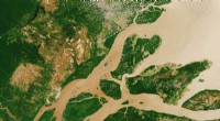 How Bolsonaro Supporters Distort Satellite Data on Amazon Deforestation