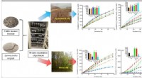 Cattle Manure Biochar Can Offset Earthworm-Driven CO₂ and N₂O Emissions in Forest Soil