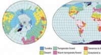Ice Sheet Retreat & Forest Expansion: Transforming Ancient Subtropical Drylands into Oases