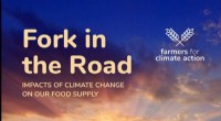 Farmers Warn: Climate Change Threatens Food Supply from Field to Plate