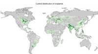 Scientists Show Relocating Farmland Could Reverse 20 Years of Carbon Emissions