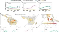 Satellite Data Reveal Global Tropical Forest Carbon Loss Doubling Over 20 Years