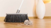 Innovative Model Predicts Household Lead Exposure Risk