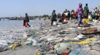 UNEP Chief Hails Global Plastics Treaty as Historic Milestone for Planet