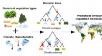 Machine Learning Pinpoints Climate Thresholds Guiding Natural Vegetation Distribution