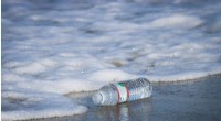 California Sets Ambitious Plan to Eliminate Oceanic Microplastic Pollution