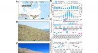 Climate Change Suppresses Shrub Recruitment in the Arctic and Tibetan Plateau
